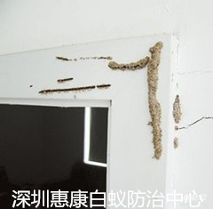 ڻݿρҾӰρ皢
